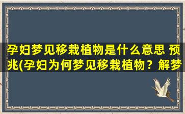 孕妇梦见移栽植物是什么意思 预兆(孕妇为何梦见移栽植物？解梦大全告诉你预兆含义！)